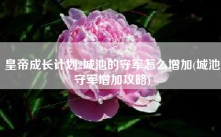皇帝成长计划2城池的守军怎么增加(城池守军增加攻略)