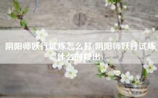 阴阳师妖行试炼怎么打(阴阳师妖行试炼什么时候出)