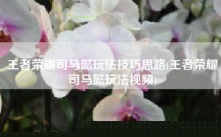 王者荣耀司马懿玩法技巧思路(王者荣耀司马懿玩法视频)