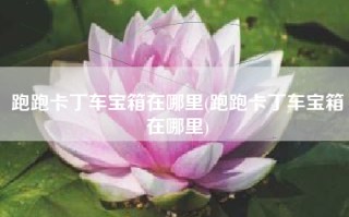 跑跑卡丁车宝箱在哪里(跑跑卡丁车宝箱在哪里)