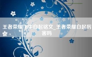 王者荣耀飞牛白起铭文_王者荣耀白起厉害吗