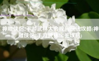 神雕侠侣2手游武林大会晚间玩法攻略(神雕侠侣2手游武林宝鉴攻略)