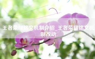 王者荣耀铭文机制介绍_王者荣耀铭文机制改动