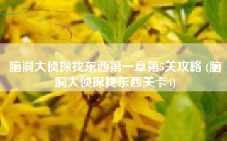 脑洞大侦探找东西第一章第5关攻略 (脑洞大侦探找东西关卡4)