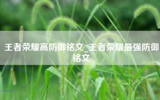 王者荣耀高防御铭文_王者荣耀最强防御铭文