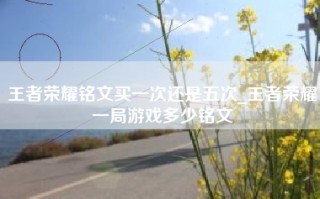 王者荣耀铭文买一次还是五次_王者荣耀一局游戏多少铭文