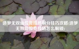 造梦无双仙位竞技场刷分技巧攻略(造梦无双仙位竞技场怎么解锁)