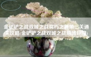 金铲铲之战双城之战腐朽之盾第三关通关攻略(金铲铲之战双城之战暗域巨魔)