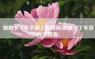 跑跑卡丁车手游上架时间(跑跑卡丁车官方竞速版)