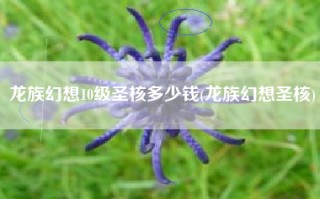 龙族幻想10级圣核多少钱(龙族幻想圣核)