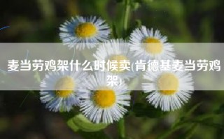 麦当劳鸡架什么时候卖(肯德基麦当劳鸡架)