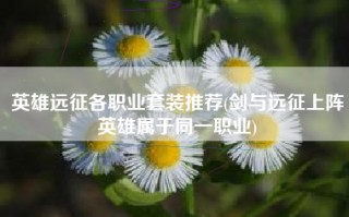 英雄远征各职业套装推荐(剑与远征上阵英雄属于同一职业)