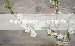 王者荣耀阿轲带什么铭文能秒人