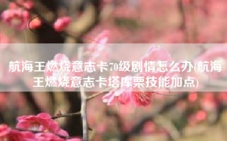 航海王燃烧意志卡70级剧情怎么办(航海王燃烧意志卡塔库栗技能加点)