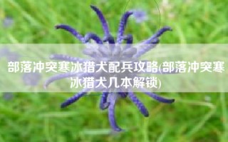 部落冲突寒冰猎犬配兵攻略(部落冲突寒冰猎犬几本解锁)