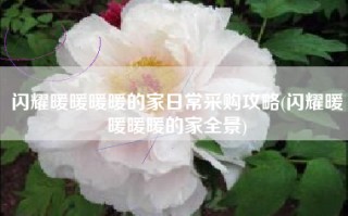 闪耀暖暖暖暖的家日常采购攻略(闪耀暖暖暖暖的家全景)