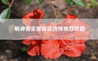 解神者支援阵容选择推荐攻略