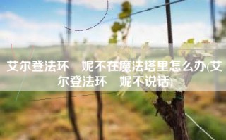 艾尔登法环菈妮不在魔法塔里怎么办(艾尔登法环菈妮不说话)