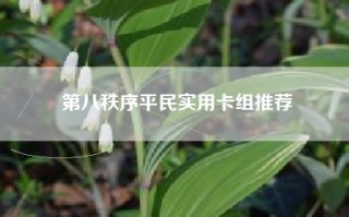 第八秩序平民实用卡组推荐
