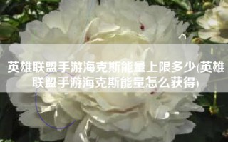 英雄联盟手游海克斯能量上限多少(英雄联盟手游海克斯能量怎么获得)