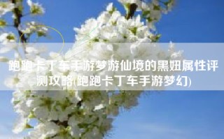 跑跑卡丁车手游梦游仙境的黑妞属性评测攻略(跑跑卡丁车手游梦幻)