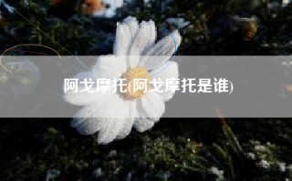 阿戈摩托(阿戈摩托是谁)