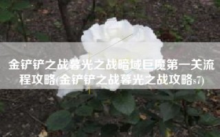 金铲铲之战暮光之战暗域巨魔第一关流程攻略(金铲铲之战暮光之战攻略s7)
