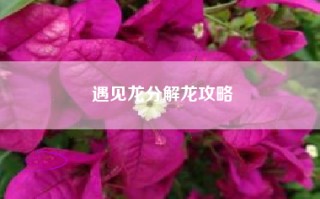 遇见龙分解龙攻略