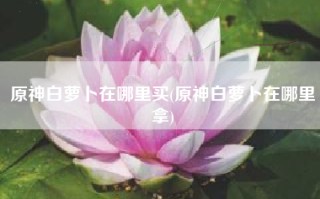 原神白萝卜在哪里买(原神白萝卜在哪里拿)