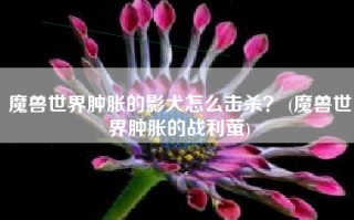 魔兽世界肿胀的影犬怎么击杀？ (魔兽世界肿胀的战利萤)