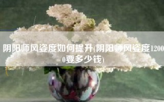 阴阳师风姿度如何提升(阴阳师风姿度12000要多少钱)