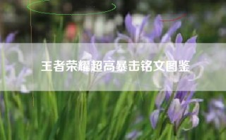王者荣耀超高暴击铭文图鉴
