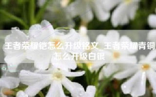 王者荣耀铠怎么升级铭文_王者荣耀青铜怎么升级白银