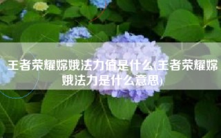 王者荣耀嫦娥法力值是什么(王者荣耀嫦娥法力是什么意思)
