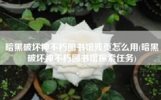 暗黑破坏神不朽图书馆残页怎么用(暗黑破坏神不朽图书馆探索任务)