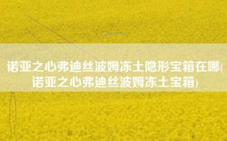 诺亚之心弗迪丝波姆冻土隐形宝箱在哪(诺亚之心弗迪丝波姆冻土宝箱)