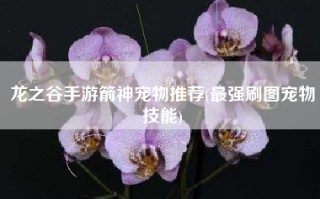 龙之谷手游箭神宠物推荐(最强刷图宠物技能)