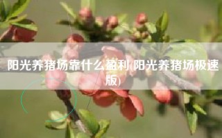 阳光养猪场靠什么盈利(阳光养猪场极速版)