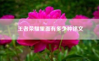 王者荣耀里面有多少种铭文