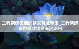 王者荣耀里面的铭文冒险专属_王者荣耀冒险模式铭文有区别吗