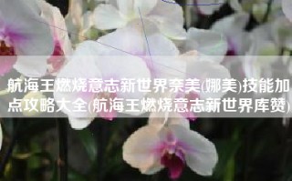 航海王燃烧意志新世界奈美(娜美)技能加点攻略大全(航海王燃烧意志新世界库赞)