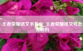 王者荣耀铭文书多少_王者荣耀铭文号怎么刷的