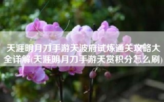 天涯明月刀手游天波府试炼通关攻略大全详解(天涯明月刀手游天赏积分怎么刷)