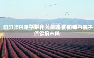 阴阳师白童子带什么御魂(阴阳师白童子值得培养吗)
