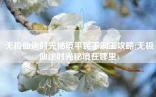 无极仙途时光秘境平民不刷玉攻略(无极仙途时光秘境在哪里)