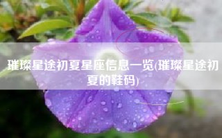 璀璨星途初夏星座信息一览(璀璨星途初夏的鞋码)