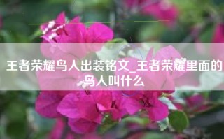 王者荣耀鸟人出装铭文_王者荣耀里面的鸟人叫什么