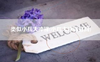 类似小兵大冲锋(小兵大冲锋官网)