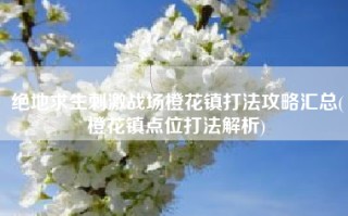 绝地求生刺激战场橙花镇打法攻略汇总(橙花镇点位打法解析)