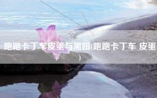 跑跑卡丁车皮蛋与黑妞(跑跑卡丁车 皮蛋)